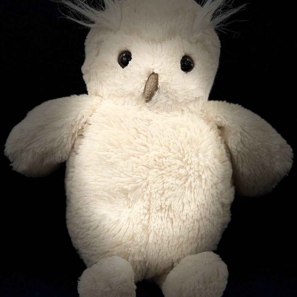 RETIRED Jellycat Owl Woodland Bashful